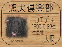 �I�[�i�[�́A�J�}���}�}����ł���